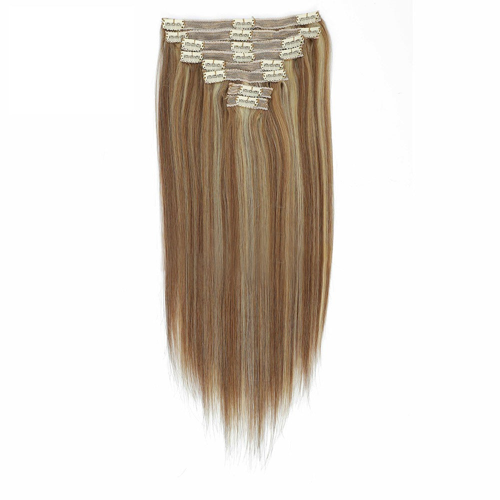 Remy Human Hair Clip-in Extension