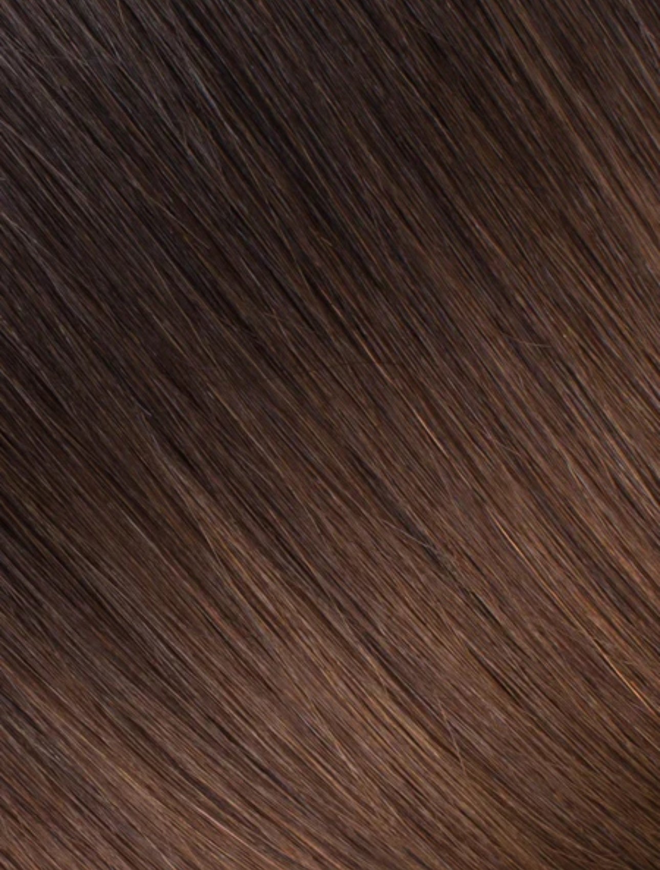 Palm Springs Ponytail